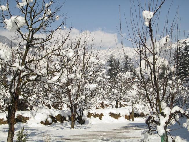 Отель Treebo Trend Celebriti Manali Vashist Экстерьер фото