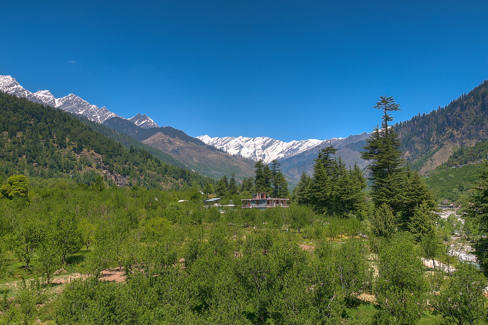 Отель Treebo Trend Celebriti Manali Vashist Экстерьер фото